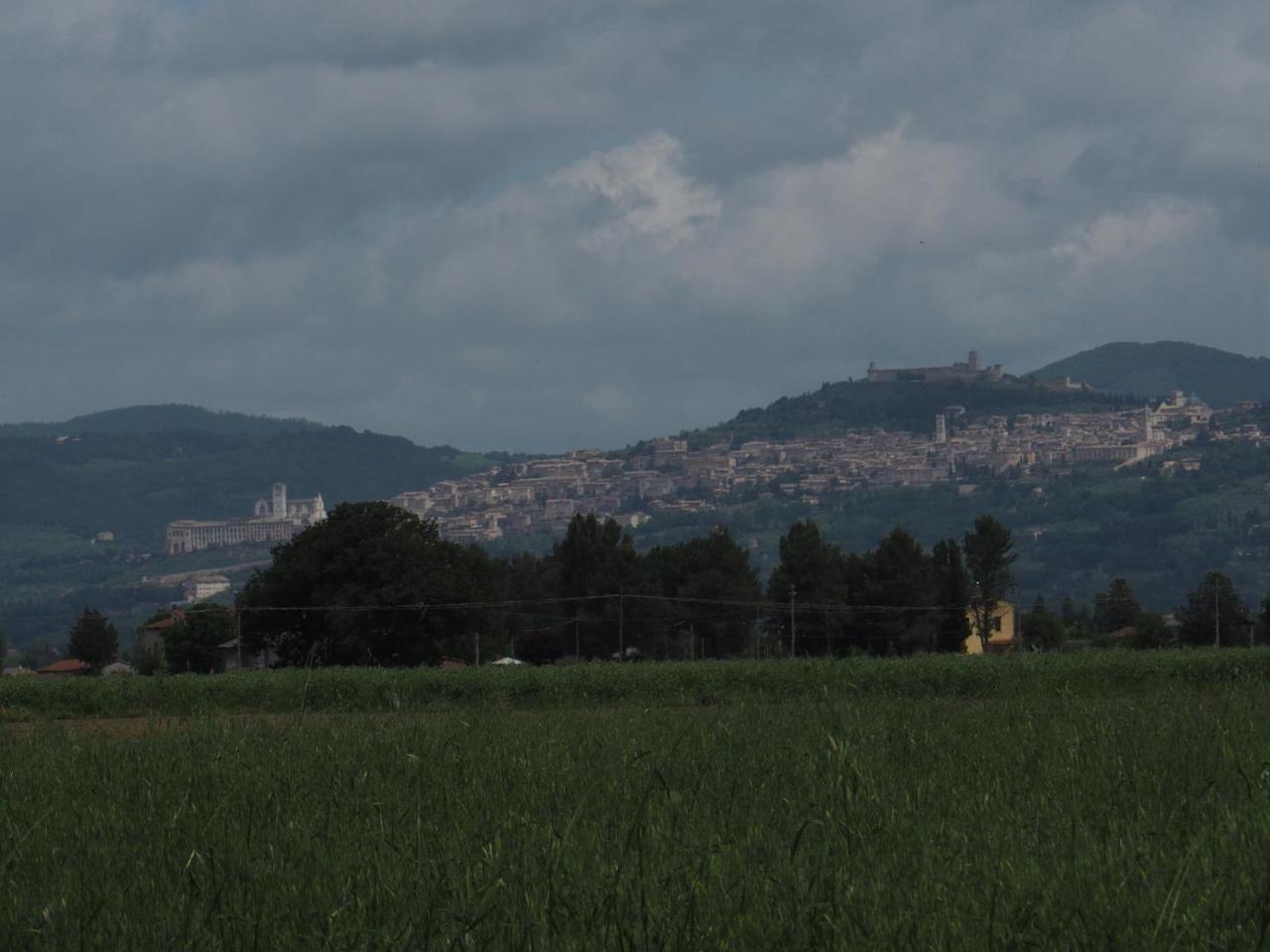 Villa Agriturismo La Semente à Spello Extérieur photo